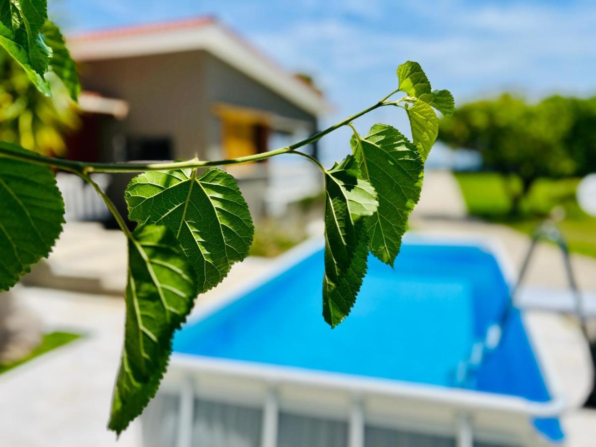 Отель Gazonia Family Estate Skala  Экстерьер фото